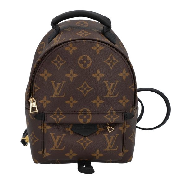 LOUIS VUITTON Monogram Palm Springs Backpack Mini - Picture 1 of 9